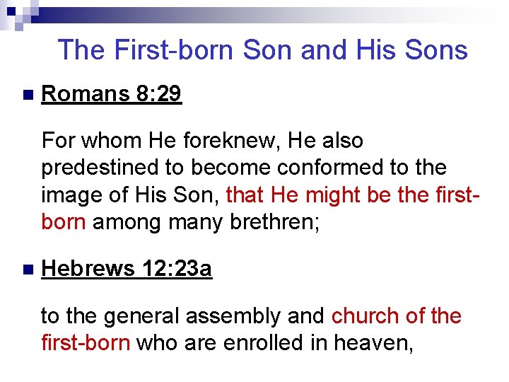 The First-born Son and His Sons n Romans 8: 29 For whom He foreknew,