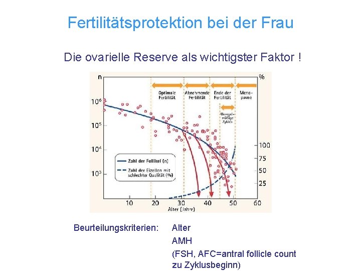 Fertilitätsprotektion bei der Frau Die ovarielle Reserve als wichtigster Faktor ! Beurteilungskriterien: Alter AMH