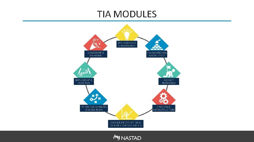 TIA MODULES 