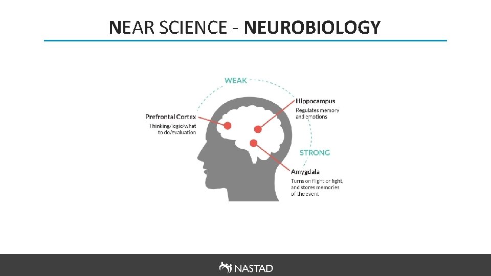 NEAR SCIENCE - NEUROBIOLOGY 