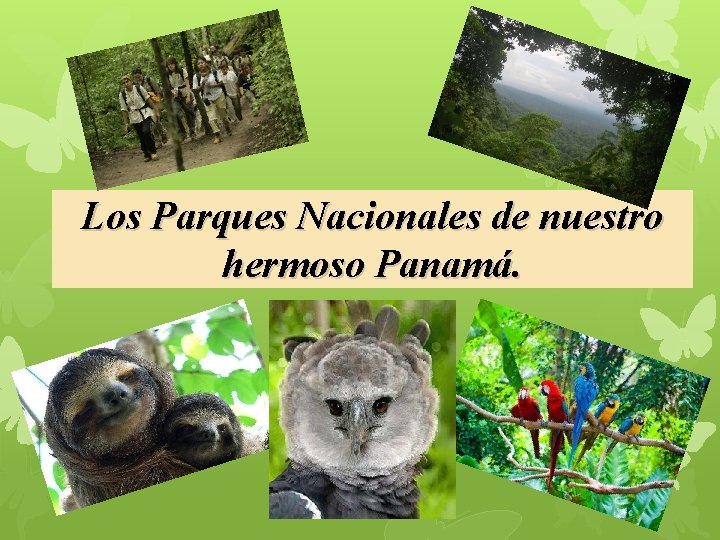 Los Parques Nacionales de nuestro hermoso Panamá. 