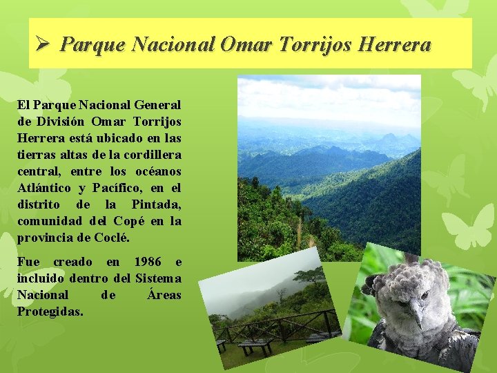 Ø Parque Nacional Omar Torrijos Herrera El Parque Nacional General de División Omar Torrijos