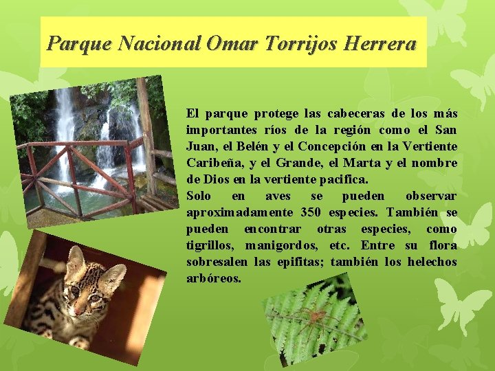 Parque Nacional Omar Torrijos Herrera El parque protege las cabeceras de los más importantes