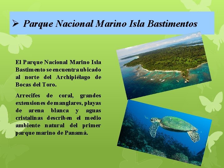 Ø Parque Nacional Marino Isla Bastimentos El Parque Nacional Marino Isla Bastimento se encuentra