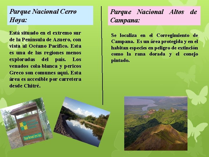 Parque Nacional Cerro Hoya: Parque Nacional Altos de Campana: Está situado en el extremo