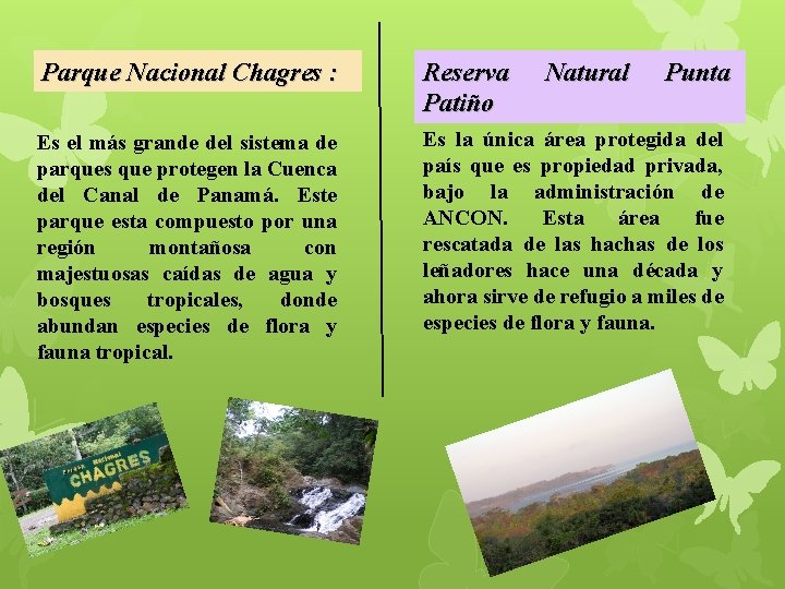 Parque Nacional Chagres : Reserva Patiño Es el más grande del sistema de parques