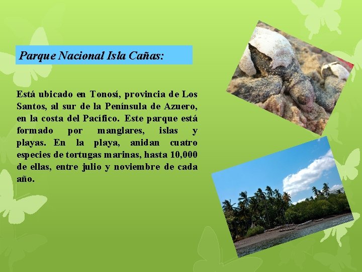 Parque Nacional Isla Cañas: Está ubicado en Tonosí, provincia de Los Santos, al sur