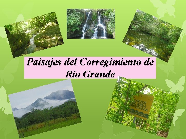 Paisajes del Corregimiento de Río Grande 