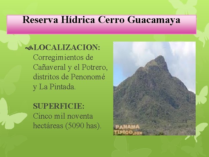 Reserva Hídrica Cerro Guacamaya LOCALIZACION: Corregimientos de Cañaveral y el Potrero, distritos de Penonomé