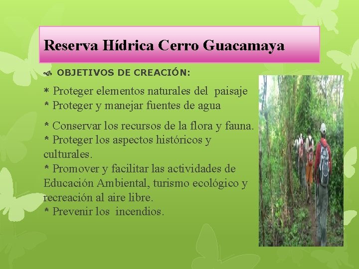 Reserva Hídrica Cerro Guacamaya OBJETIVOS DE CREACIÓN: * Proteger elementos naturales del paisaje *