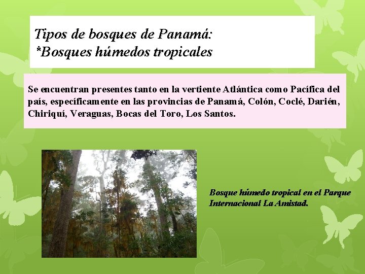 Tipos de bosques de Panamá: *Bosques húmedos tropicales Se encuentran presentes tanto en la