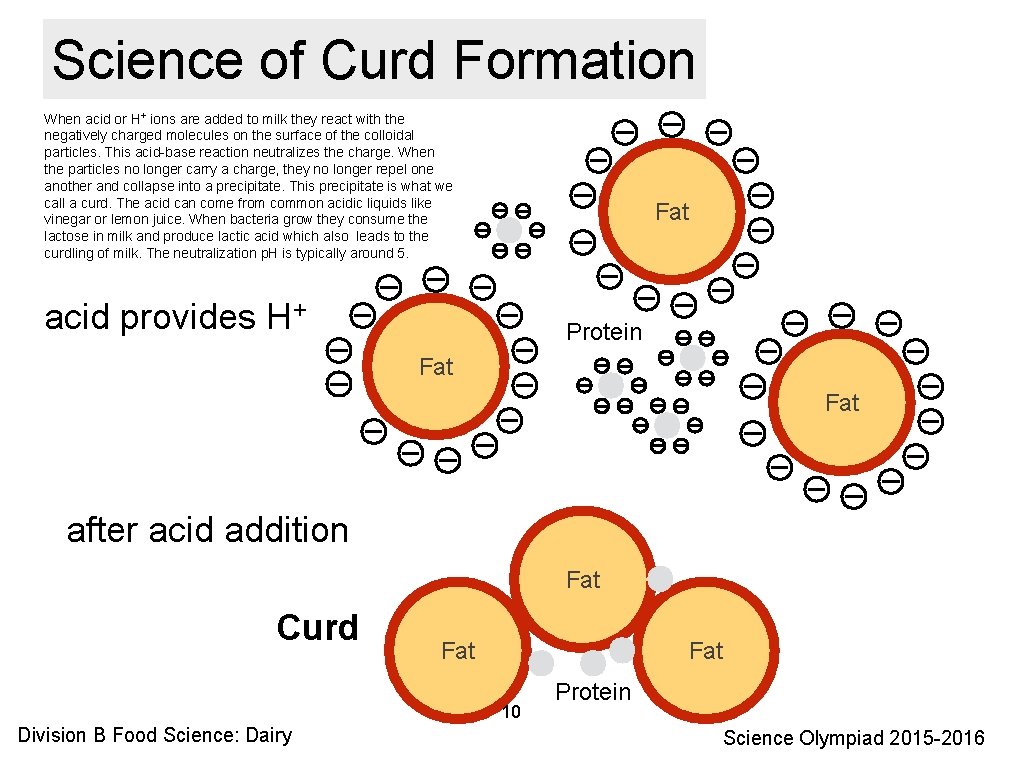 Science of Curd Formation When acid or H+ ions are added to milk they