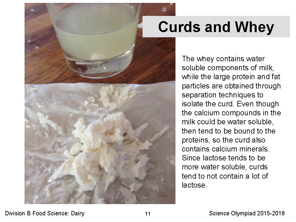 Curds and Whey The whey contains water soluble components of milk, while the large