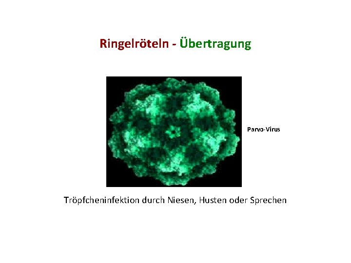 Ringelröteln - Übertragung Parvo-Virus Tröpfcheninfektion durch Niesen, Husten oder Sprechen 