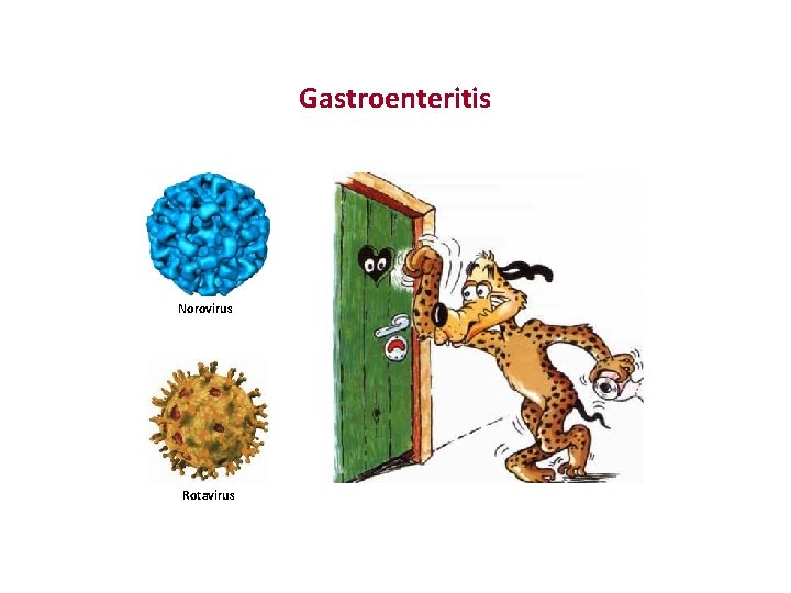 Gastroenteritis Norovirus Rotavirus 