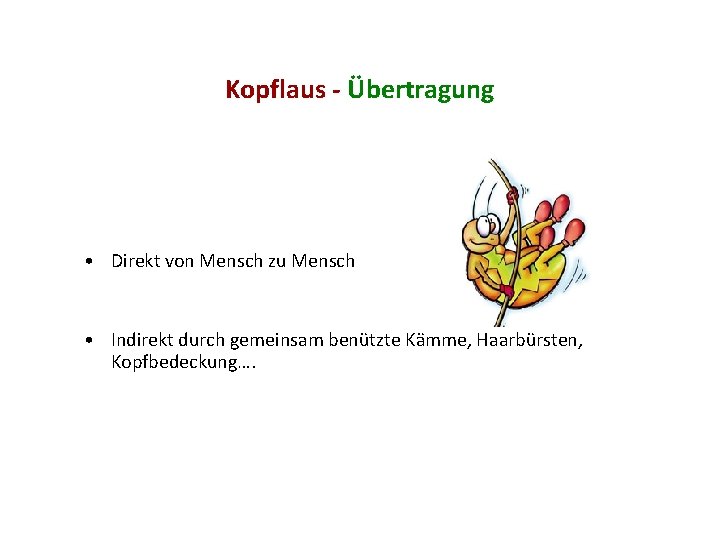 Kopflaus - Übertragung • Direkt von Mensch zu Mensch • Indirekt durch gemeinsam benützte