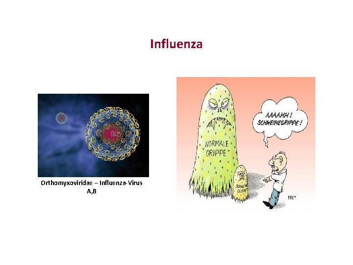 Influenza Orthomyxoviridae – Influenza-Virus A, B 