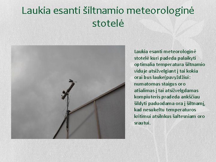 Laukia esanti šiltnamio meteorologinė stotelė Laukia esanti meteorologinė stotelė kuri padeda palaikyti optimalia temperatura