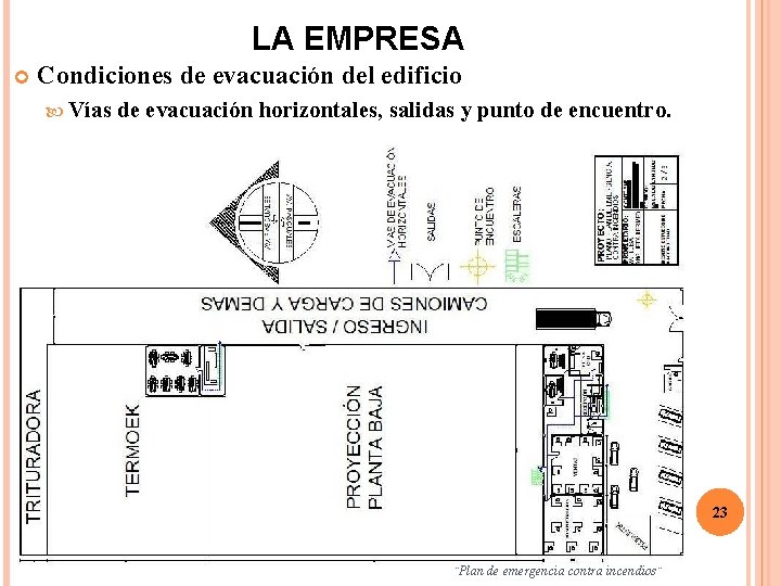 LA EMPRESA Condiciones de evacuación del edificio Vías de evacuación horizontales, salidas y punto