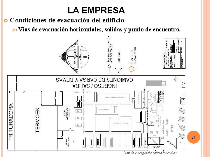 LA EMPRESA Condiciones de evacuación del edificio Vías de evacuación horizontales, salidas y punto