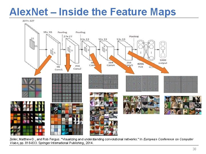 Alex. Net – Inside the Feature Maps Zeiler, Matthew D. , and Rob Fergus. Alex. Net – Inside the Feature Maps Zeiler, Matthew D. , and Rob Fergus.