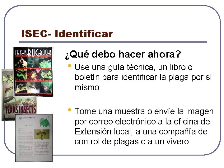 ISEC- Identificar ¿Qué debo hacer ahora? • Use una guía técnica, un libro o
