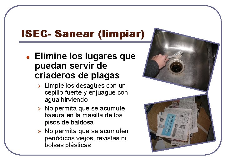 ISEC- Sanear (limpiar) l Elimine los lugares que puedan servir de criaderos de plagas