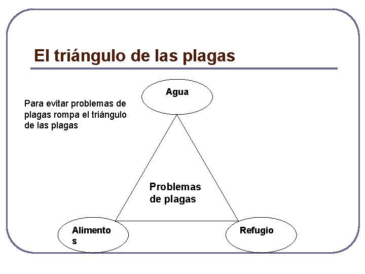 El triángulo de las plagas Agua Para evitar problemas de plagas rompa el triángulo