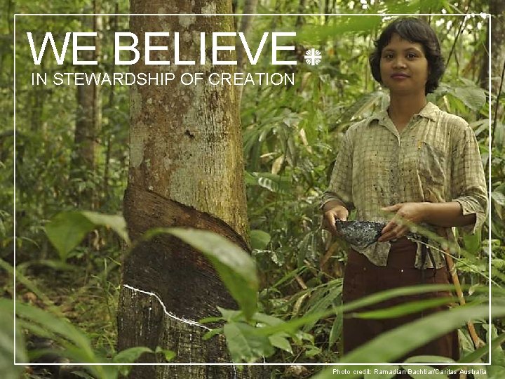 WE BELIEVE IN STEWARDSHIP OF CREATION Photo credit: Ramadian Bachtiar/Caritas Australia 