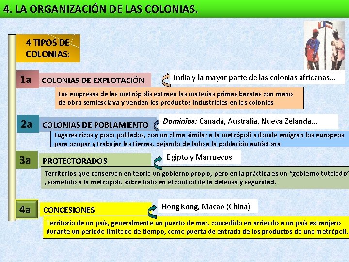 4. LA ORGANIZACIÓN DE LAS COLONIAS. 4 TIPOS DE COLONIAS: 1 a COLONIAS DE 4. LA ORGANIZACIÓN DE LAS COLONIAS. 4 TIPOS DE COLONIAS: 1 a COLONIAS DE