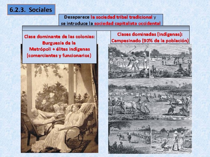 6. 2. 3. Sociales Desaparece la sociedad tribal tradicional y se introduce la sociedad 6. 2. 3. Sociales Desaparece la sociedad tribal tradicional y se introduce la sociedad