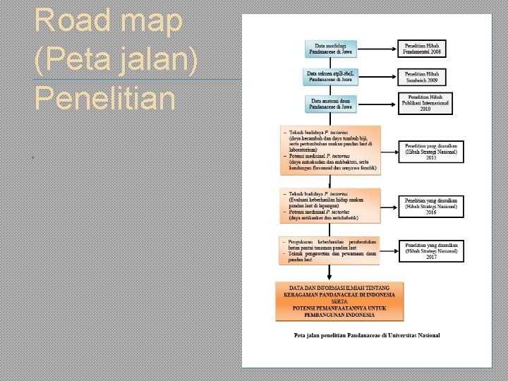 Road map (Peta jalan) Penelitian 
