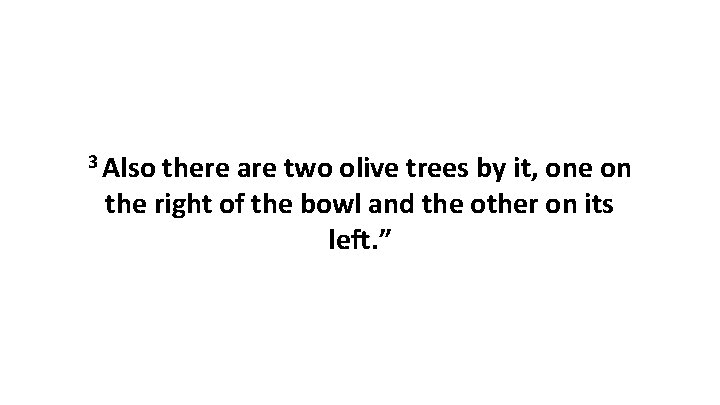 3 Also there are two olive trees by it, one on the right of