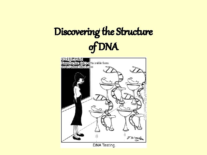 Discovering the Structure of DNA 