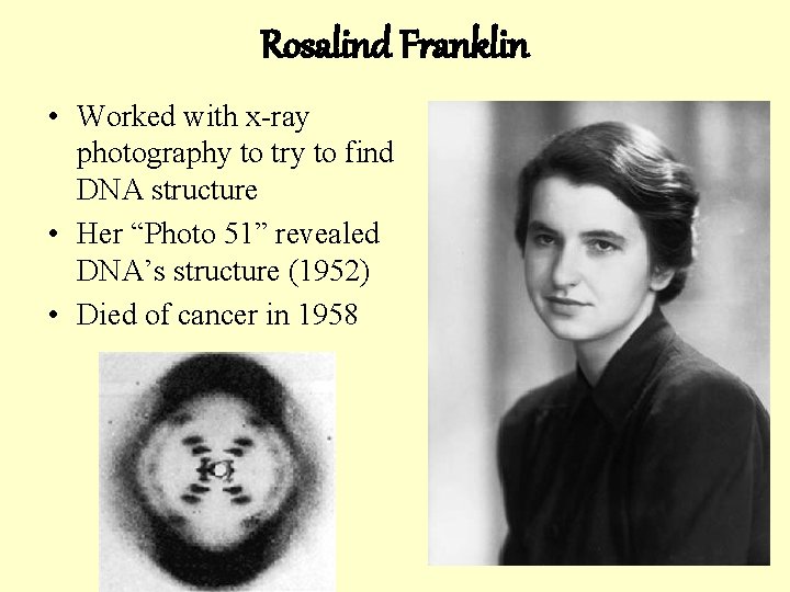 Rosalind Franklin • Worked with x-ray photography to try to find DNA structure •