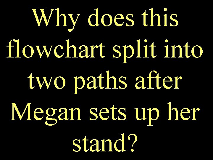 Why does this flowchart split into two paths after Megan sets up her stand?