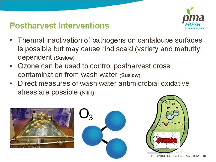 Postharvest Interventions • Thermal inactivation of pathogens on cantaloupe surfaces is possible but may