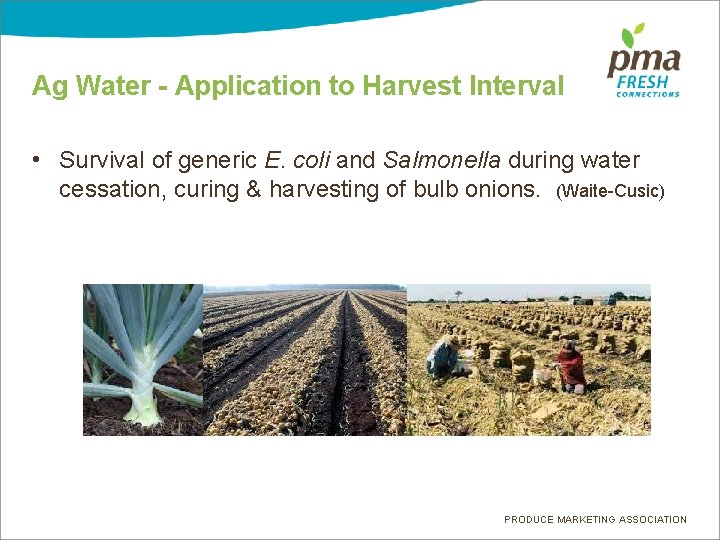 Ag Water - Application to Harvest Interval • Survival of generic E. coli and