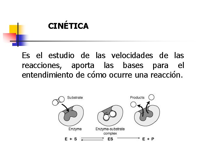 CINÉTICA Es el estudio de las velocidades de las reacciones, aporta las bases para