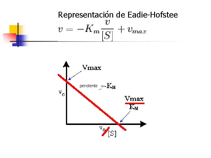 Representación de Eadie-Hofstee pendiente 