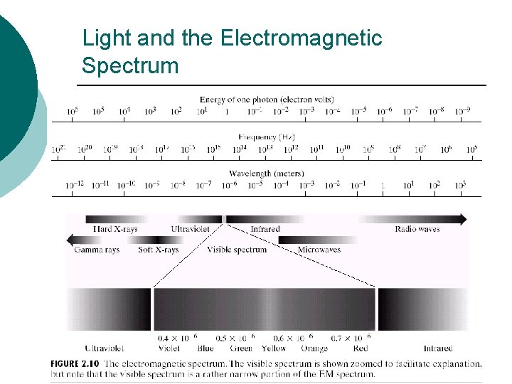 Light and the Electromagnetic Spectrum 