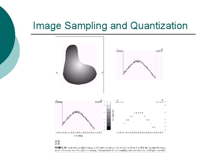 Image Sampling and Quantization 