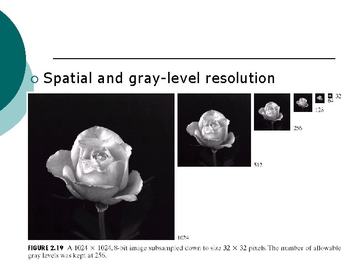 ¡ Spatial and gray-level resolution 