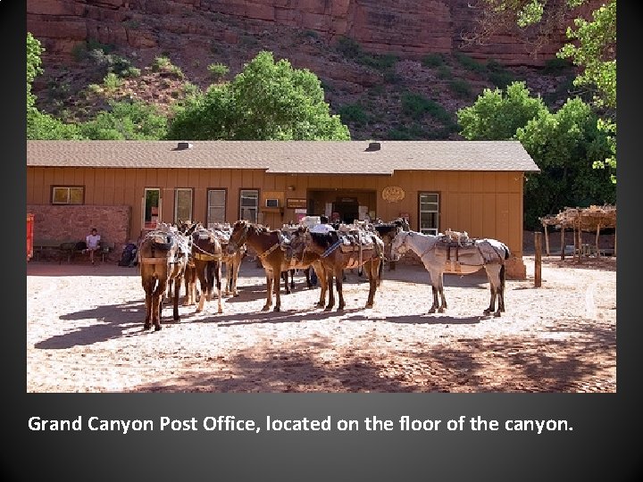 Grand Canyon Post Office, located on the floor of the canyon. 