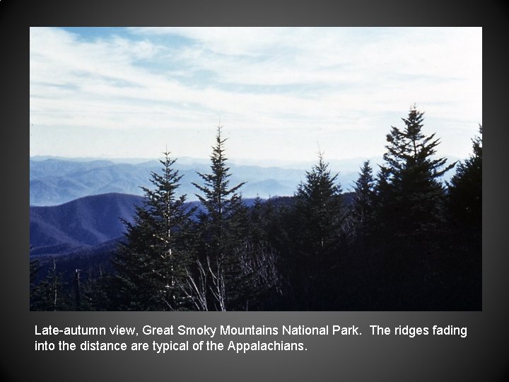 Late-autumn view, Great Smoky Mountains National Park. The ridges fading into the distance are
