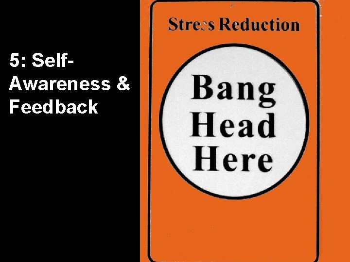 5: Self Awareness & Feedback 5: Self Awareness & Feedback