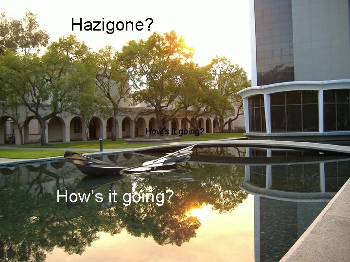 Hazigone? How’s it going? Hazigone? How’s it going?