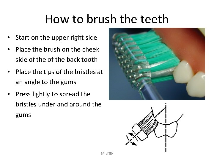 How to brush the teeth • Start on the upper right side • Place