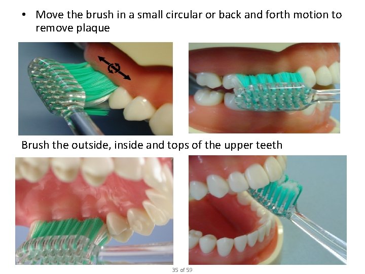 • Move the brush in a small circular or back and forth motion