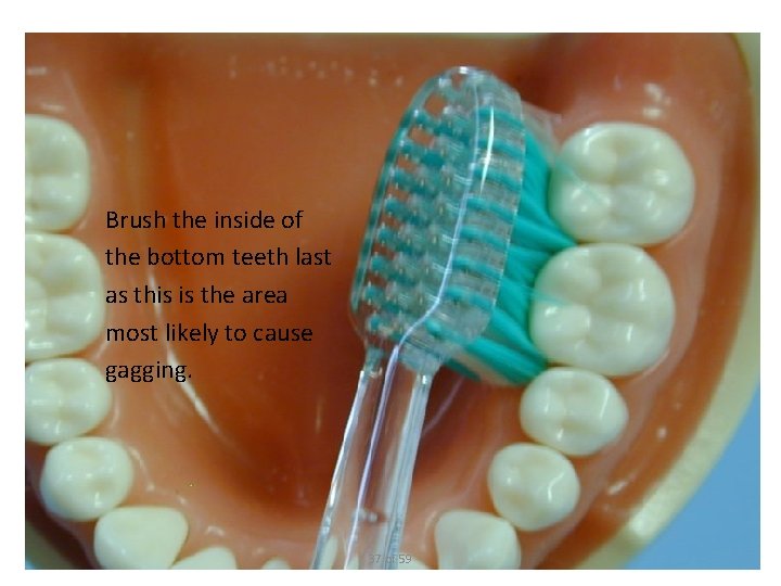 Brush the inside of the bottom teeth last as this is the area most